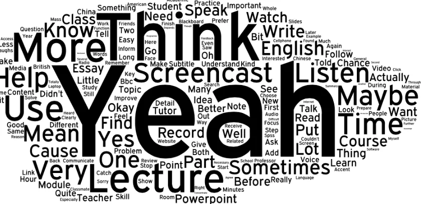 Figure 
  1: 
  Words 
  most 
  frequently 
  used 
  by 
  postgraduate 
  focus 
  group 
  participants 
   
  