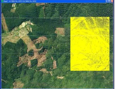 Figure 2. Typical grid point with XYZ generated from ste-reo-photo pairs. 