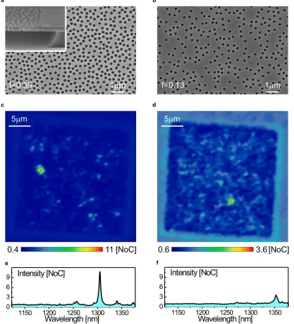 FIGURE 1: Near field imaging of localized modes. a-b, Scanning Electron Microscopy 