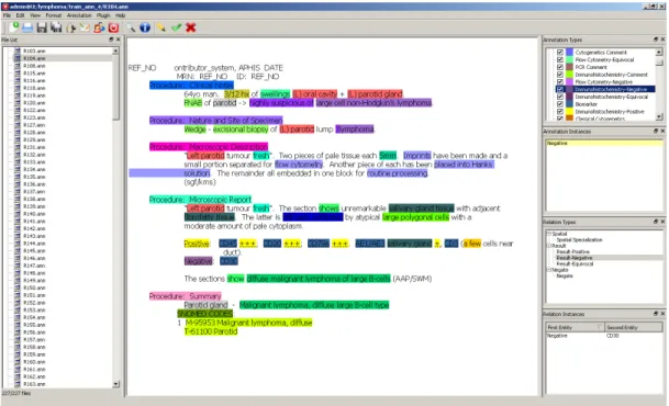 Figure 4.2 The Working environment of the Visual Annotator. 