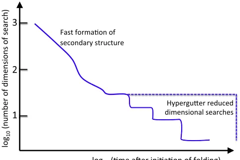 FIGURE 1Schematic diagram of the folding process, and the emergentof searchondary structure, the remaining ~10 degrees of freedom may either suffer anextremely long simultaneous search (funnel in the space of remaining nonnative degrees of freedom (dimensi