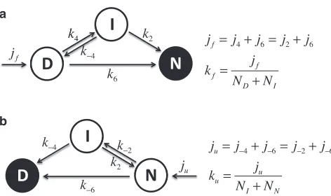 FIGURE 4Folding (folding routes, respectively.boundaries (jf) and unfolding (ju) proteins ﬂux through the six-dimensional and (fourþtwo)-dimensional routes