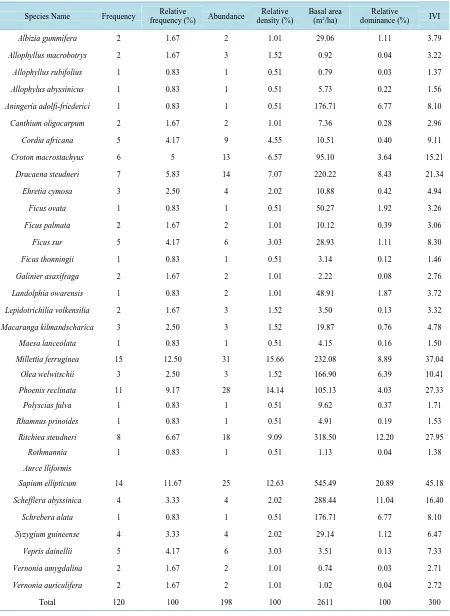 Table 2. Frequency, relative frequency, abundance, relative density, dominance, relative dominance and IVI of woody spe-cies (dbh > 5 cm) in Kaja Araba forest