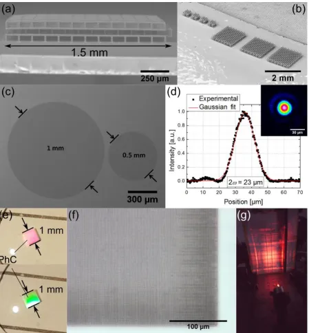 Fig. 6: (a) – 1.5 mm scaffold for cell growth made out of non-photosensitized SZ2080. (b) – demonstration of capabilities to produce complex bio-medicine oriented structures with on-demand scalability