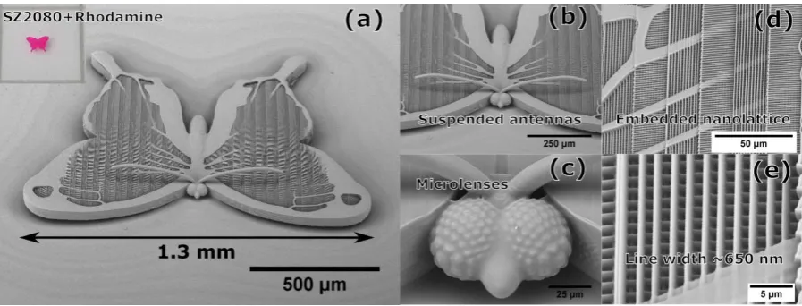 Fig. 7: A meso butterfly, created to demonstrate true meso-scale capabilities of synchronized linear stages and galvo-scanners