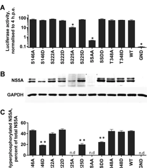 TABLE 1 NS5A phosphopeptides identiﬁed by mass spectrometry