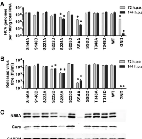 FIG 4 Mutagenic analysis of putative phosphorylation sites within LCS I. Themalized to activity at 4 h.(B) Western blot analysis of cell lysates at 72 hpe probed with NS5A (9E10) orGAPDH antibodies
