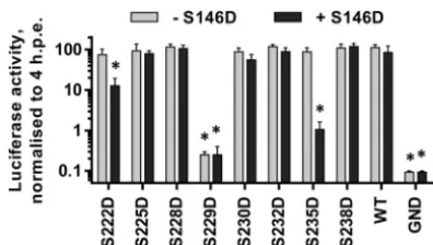 FIG 6 Analysis of LCS I phosphomimetic mutations in the context of S146D.The indicated mutations were engineered into mSGR-Luc-JFH-1 (29), invitro-transcribed RNA was electroporated into Huh7 cells, and luciferase ac-tivity measured at 4 and 72 hpe
