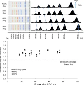 Figure 6. Effects of PWM on migration distance and signal intensity. (a) Migration distance of 7 protein species in a vertical gel in response to 50%, 60%, 80%, and 100% duty cycles; (b) Normalized signal intensity of varying protein species