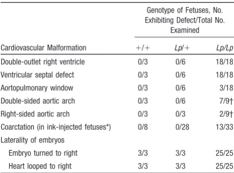 Figure 1. Cardiac alignment defects inand 380 Lp/Lp fetuses at E13.5.Transverse sections of �/� (a through c, g, and i) and Lp/Lp (dthrough f, h, and j) fetuses were stained with hematoxylin andeosin
