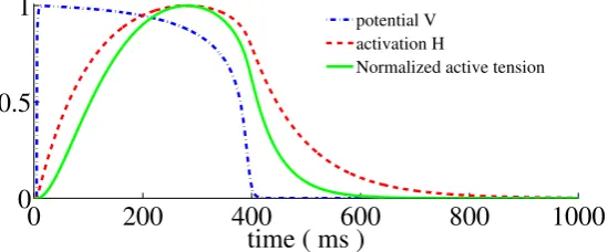 Figure 3: Active stress evolution according to (21) with β(V ) = 2.279TmaxV kPa and µ = 0.001 kPa.