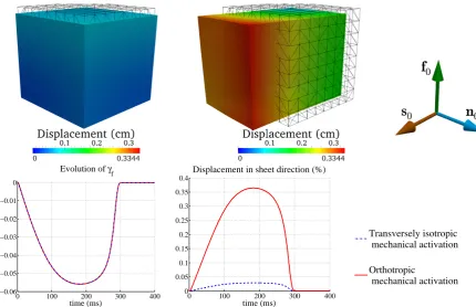 Figure 5: Test 1: Transversely isotropic (top left) and orthotropic (top center) activation