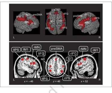 Figure 2. (Top) Areasidentified by the functionallocalizer (i.e., simple buttonpress; cluster correctedthreshold, p < .05)