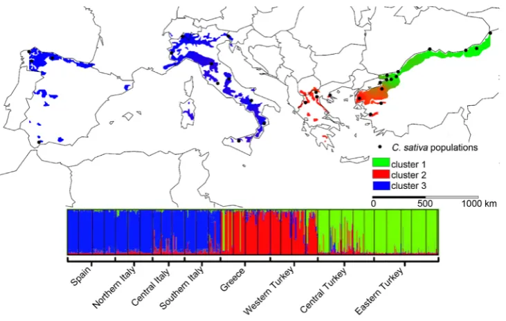 Figure 4. Synthetic map of spatial genetic structure and corresponding population structure inference for 779 chestnut tree samples estimated by Bayesian assignment using STRUCTURE for K = 3 clus-ters