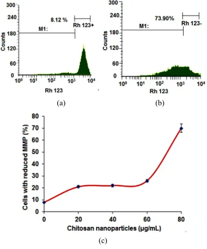 Figure 8. (a)Histogram of cells treated with 100 san nanoparticles; (c) Chitosan nanoparticles-in-  Histogram of untreated cells; (b) μg/ml chito- duced changes of MMP (loss of MMP)