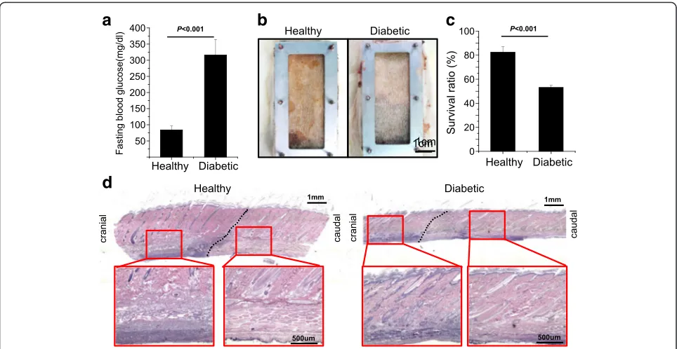Fig. 5 Flap survival in streptozotocin (STZ)-induced diabetic rats. Significant increase of blood sugar indicates a successful diabetic model infasting rats 3 weeks after STZ induction (a)