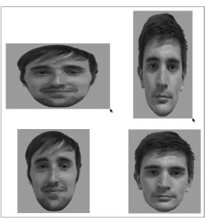 Figure 1: Examples of stimuli to resize (top), and correct aspect ratio (bottom) 