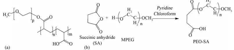 Figure 1. Structural schemes of (a) superplasticizer (PCP) and (b) PEOSA1000 unit that simulates the side chain of PCP