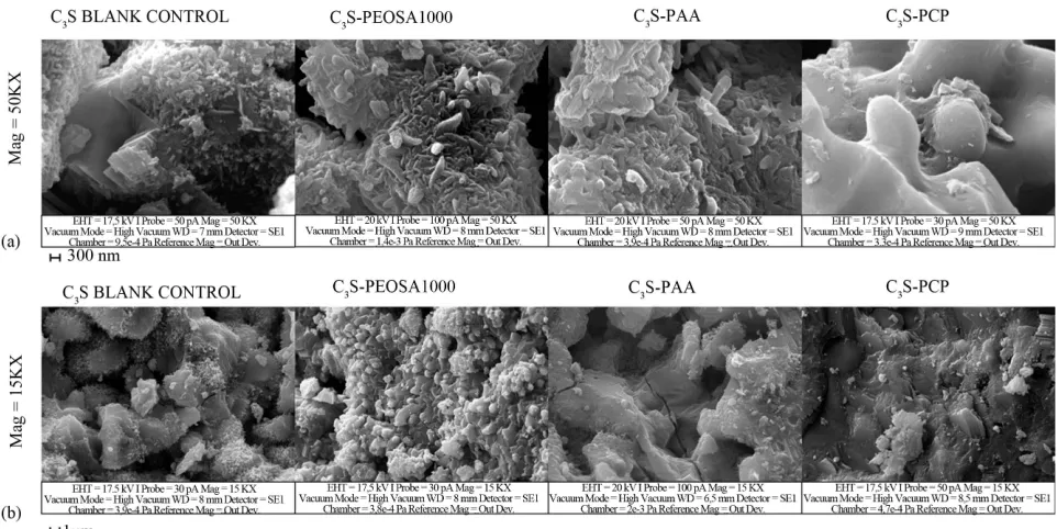 Figure 7. Comparison of SEM micrographs between hydration products of C3(PEOSA1000, PAA and PCP) after 7 hours from the beginning of the hydration reaction (a)