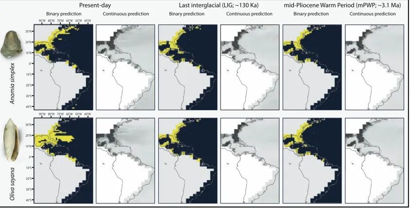 Figure 1 | Representative ecological niche models. Model results for the present, Last the geographic extent shown