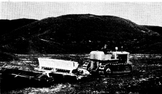FIGURE 2. Formerly cobalt to crush development deficient land two years after seeding