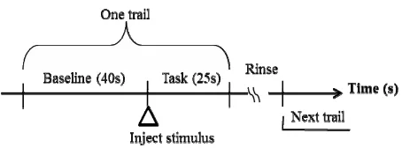 Figure 1. Experimental protocol.