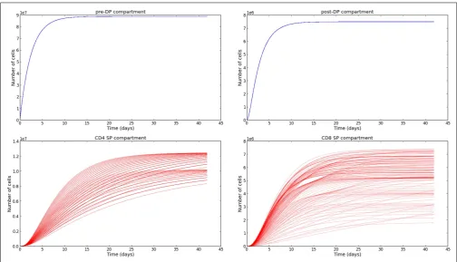 FIGURE 5 |Time evolution of the thymocyte populations in the second model. The different trajectories correspond to the parameter values and rangesdescribed inTable 2.