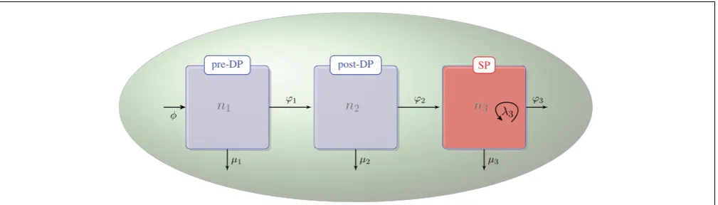 FIGURE 1 |Thymic development as hypothesized in the ﬁrstmodel. The ﬂux, φ, represents the differentiation of DNs intopre-DPs