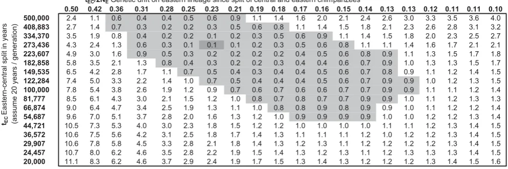 Figure 3. Inferences about parameters of eastern chimpanzee history. We ran our computer simulation of chimpanzee history using the six-loginterest that we measured using data from ref