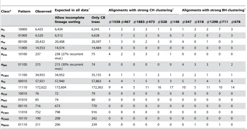 Table 4. Evidence for chimp-bonobo-human incomplete lineage sorting.