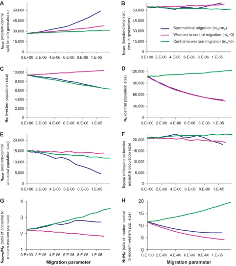 Figure 2. Inferred values of the six parameters of chimpanzee demographic history and key ratios of population sizes, for variousassumptions about the migration rate per generation between western and central chimpanzees since the western-centralMigration 