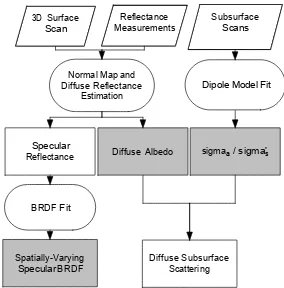 Figure 2: Spatially-varying skin reﬂectance can be explained by acomponent due to subsurface scattering