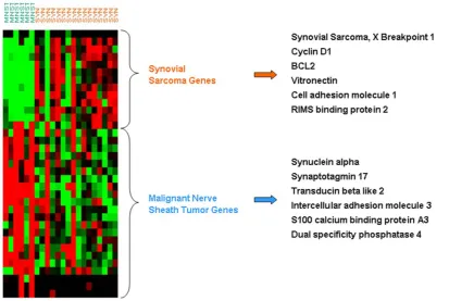 Figure 3. Distinct expression patterns of the first step 138-gene predictor in the NCI dataset