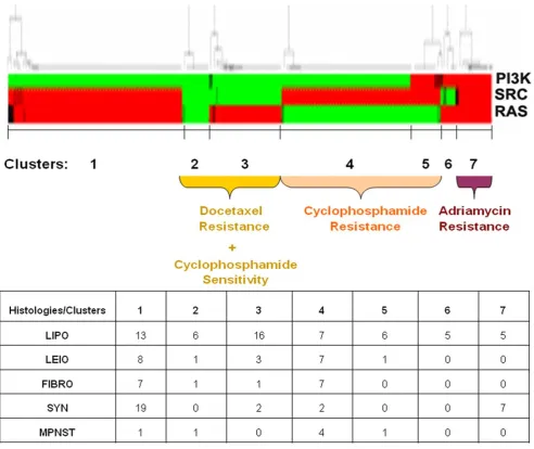 Figure 7. Association between patterns of oncogenic pathway activation and resistance to chemotherapy drugs