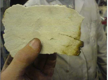 Figure 2: Milk powder “cake” flame-touching side 