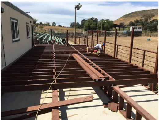 Figure 1: Rodeo Observation Deck Joist Progress