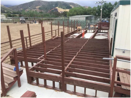 Figure 2: Rodeo Observation Deck Joist Progress