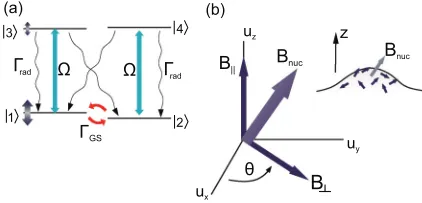 FIG. 6. (Color online) (a) Level structure and transitions for a