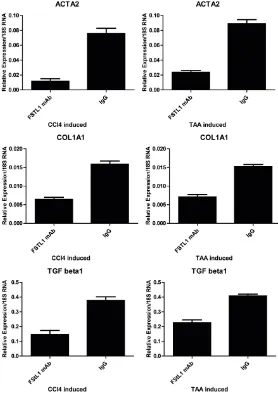 Figure 6. qPCR assay showed that in both CCl4- and TAA-induced fibrotic liver tissues, the expression of α-SMA, collagen1A1, and TGF-beta are down-regulated in mice treated with an FSTL1 mAb compared with that in mice treated with IgG.