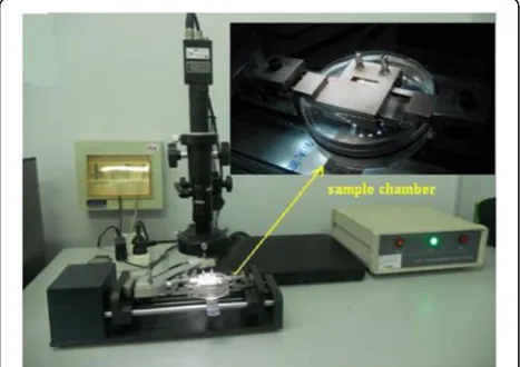 Fig. 1 Repaired model of cartilage defect by using agarose gel