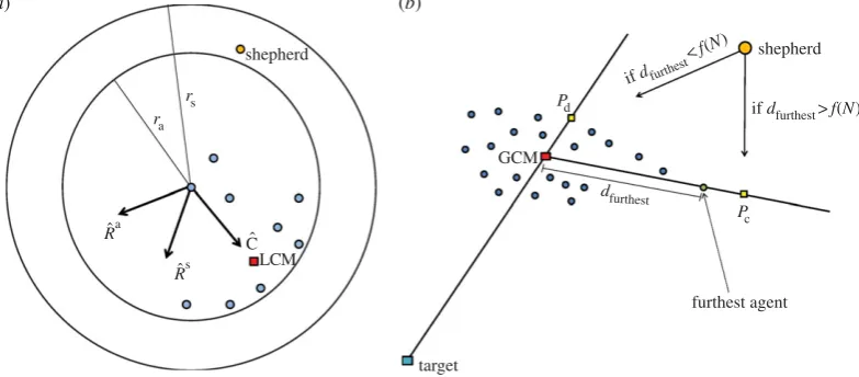 Figure 1. andstep, the shepherd does one out of three things depending on the position of the agents