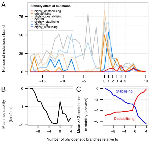 Fig.  4.  Stability  effect  and  location  of  ancestral  mutations.  The  751  mutations  occurring  during evolution  are  separated  in  A)  by  their  selection  constraints:  negative  selection  or  neutral  evolution (p>0.05 from TDG09 after false-