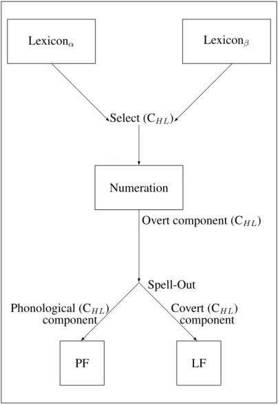 Figure 1: The Minimalist Framework. In code switched sentences, items from Lex- Lex-icon α and β are taken by the operation Select to be put in Numeration