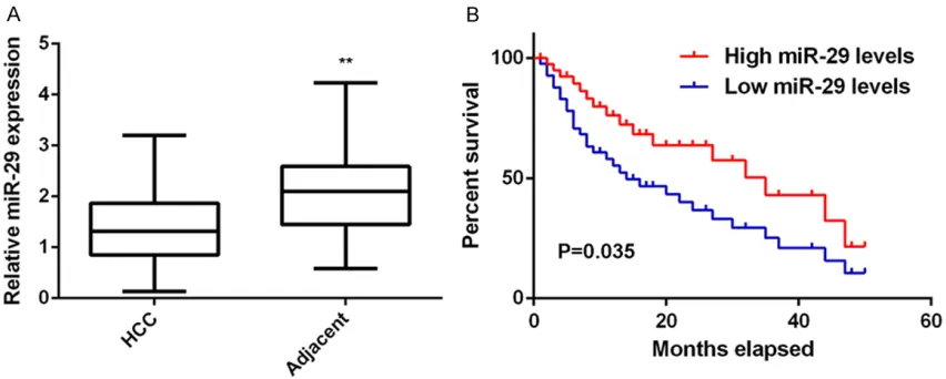 Figure 1. MiR-29 is downregulated in HCC. A: Real-time PCR was used to examine the miR-29 levels in hepatocel-lular carcinoma (HCC) tissues compared to adjacent non-tumor tissues