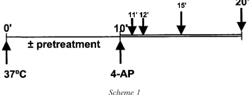 Table 1. Site-speciﬁc synapsin I dephosphorylation by puriﬁed proteinphosphatases