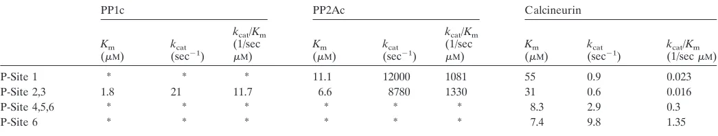 Table 2. Kinetic analysis of site-speciﬁc synapsin I dephosphorylation by puriﬁed protein phosphatases