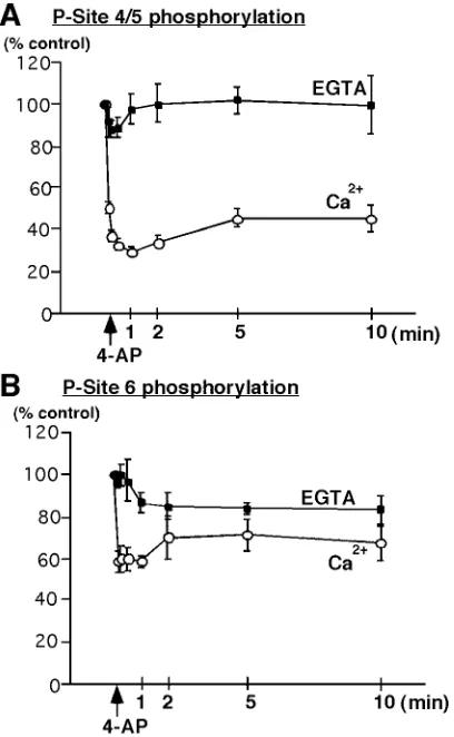 Figure 2.Time course of Cation by 4-AP.Casynapsin I P-site 6 results in a decrease to 58.6 2�-dependent dephosphorylation of synap-sin I at MAP kinase-dependent P-sites 4/5 and 6 in synaptosomes.Synaptosomes were incubated for 10 min under standard conditi