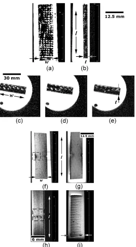 Figure 6. Water absorption analysis of defective EPX-GF specimen: (a) C-view at the specimen mid-thickness, (b) S-view at the specimen mid-width, (c-e) parallel slices according to A-view at the specimen mid-length