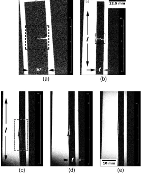 Figure 7. Translaminarly fractured EPX-CF specimen: (a) tomographic C-view at mid-thickness of the test coupon, (b) S-view at one-fourth width from the notched side of the S-view of EPX-CF via 2D-FLASH protocol EPX-CF via 2D-FLASH, (c) S-view of PPS-CF lam