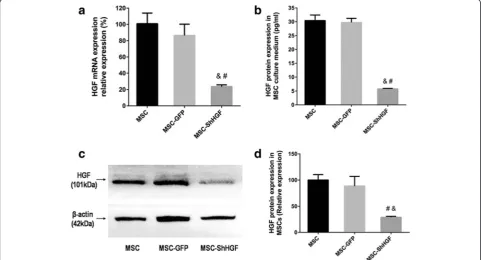 Fig. 1 Measurement of hepatocyte growth factor (HGF) expression in mesenchymal stem cells (MSC) after HGF gene knockdown
